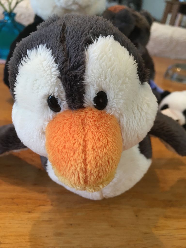 nici ペンギン アドベンチャーワールド 限定レア