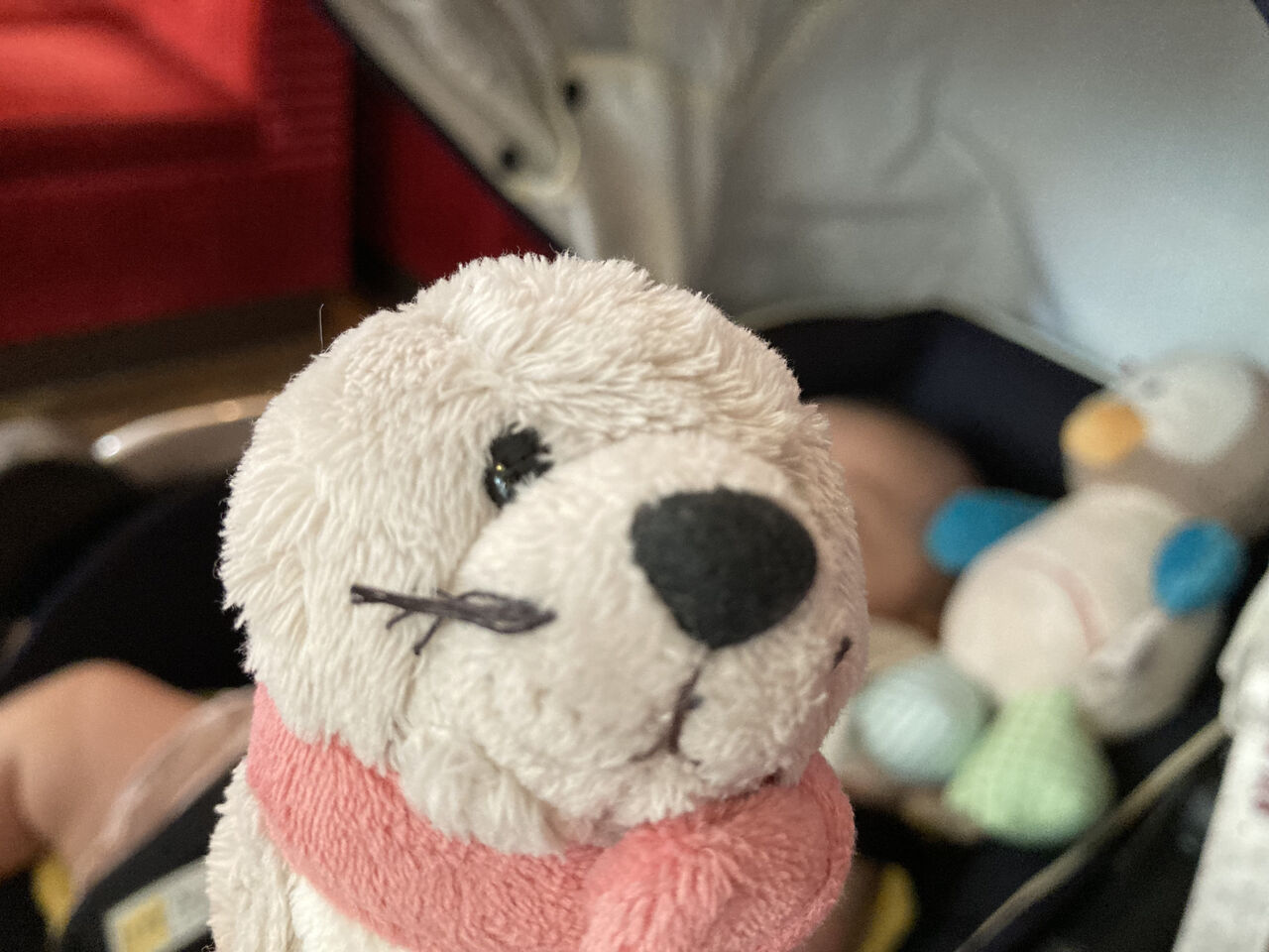 生後4ヶ月 Nici De Marie ハノイ３人暮らし主婦生活