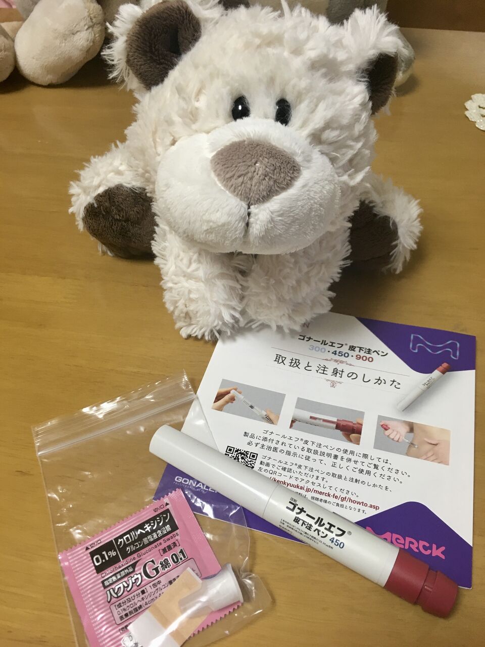 これまでの不妊治療のまとめ : nici de marie~ジャカルタ3人暮らし主婦生活~