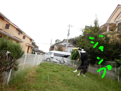 DSCN1406