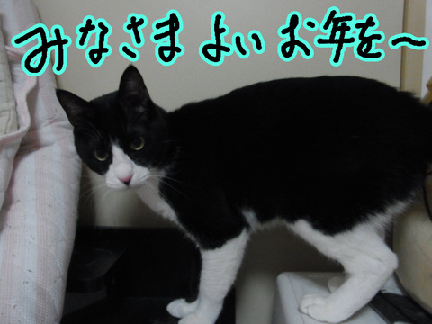 RIMG28432