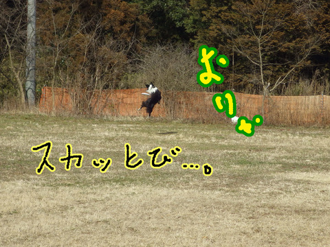 IMGP8760
