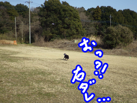 IMGP8767