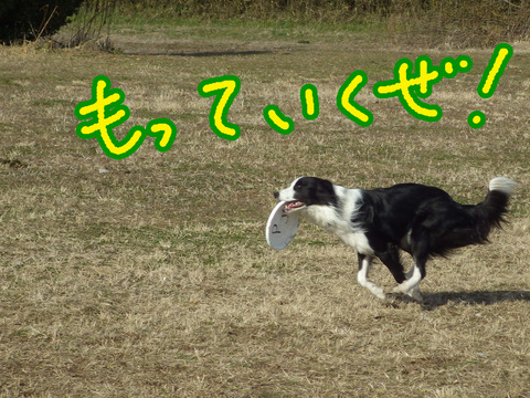 IMGP8759