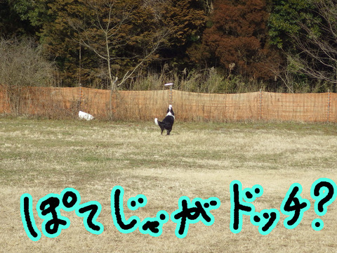 IMGP8758