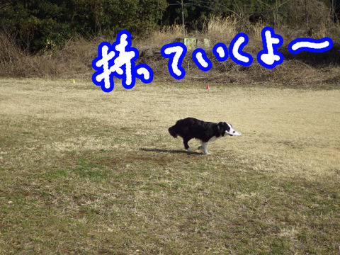 IMGP8772