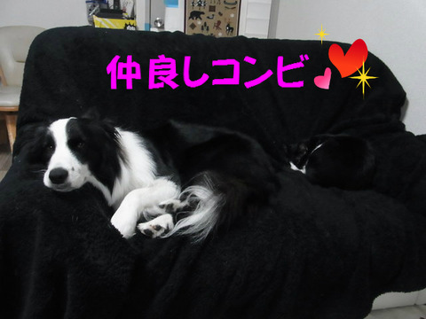 BlogPaint