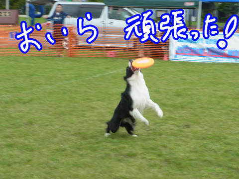 RIMG24524