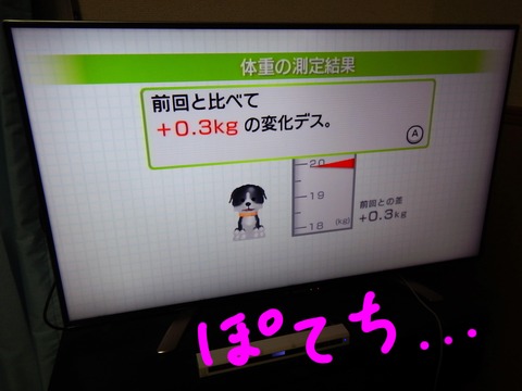 DSCN1397
