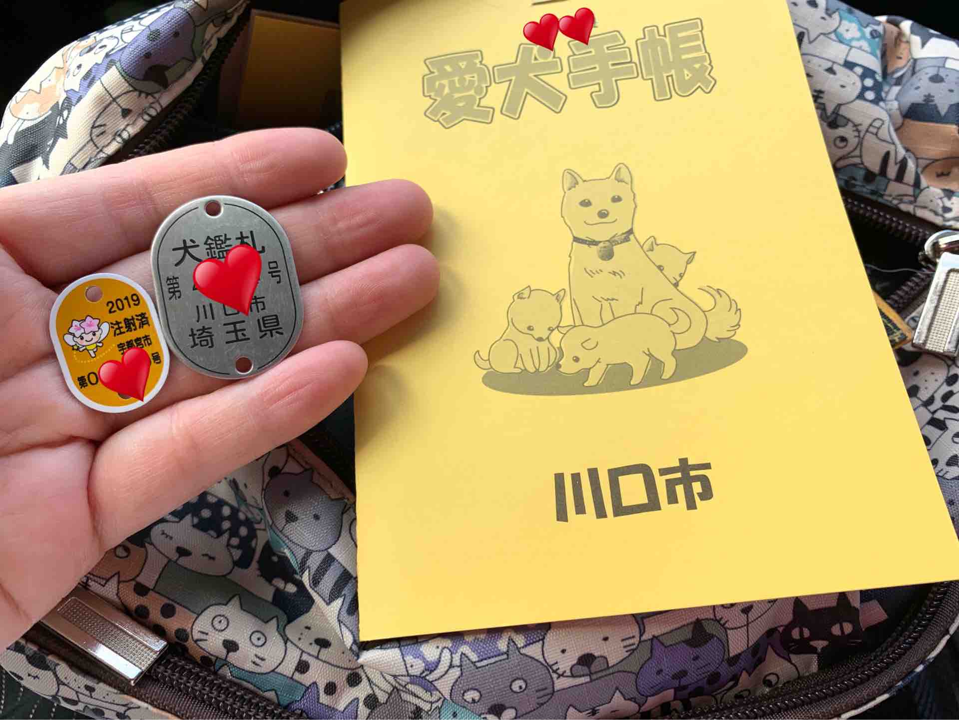埼玉犬 ニコっとルンルン日記 埼玉犬 ニコっとルンルン日記