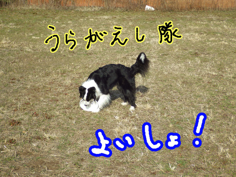 IMGP8773