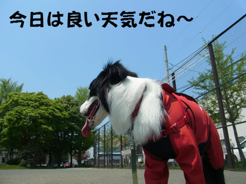BlogPaint