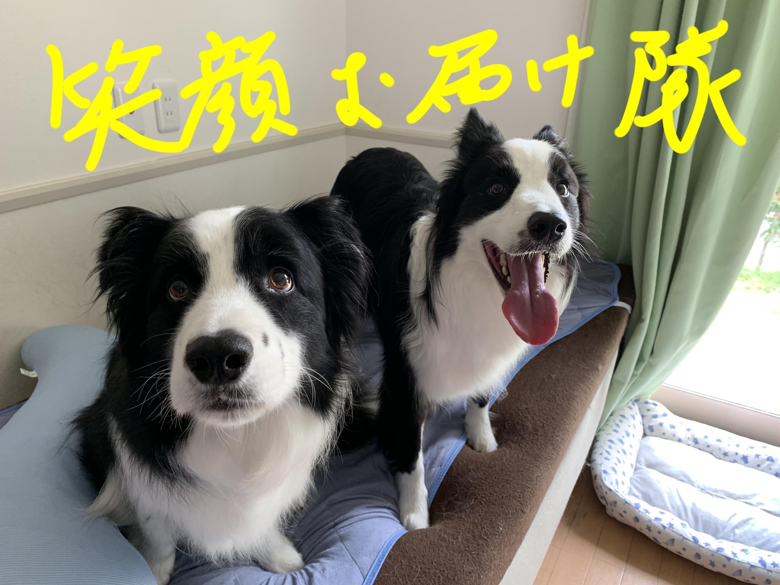 ぽてサイズ ニコっとルンルン日記