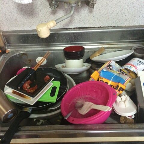 1日目 キッチンの掃除 ふつうの生活を取り戻す記録 汚部屋脱出編 1日目 キッチンの掃除 ふつうの生活を取り戻す記録 汚部屋脱出編