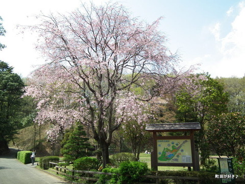 20110416096쥶Ӹ