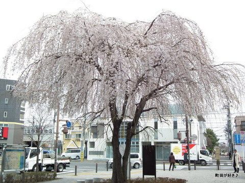 20110402060Į5ܤΥ쥶