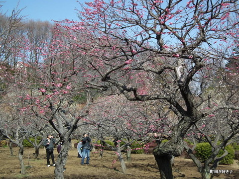 20110226100Ӹ०