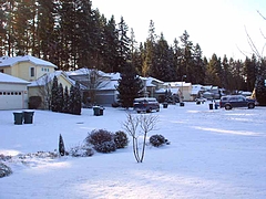 DSC06654a