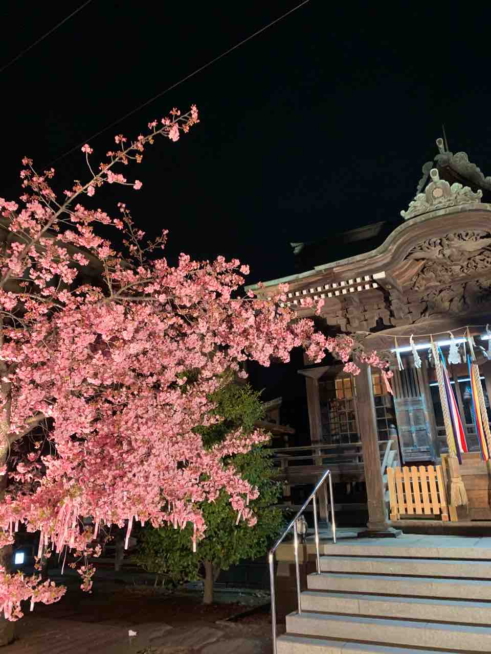 桜神宮 桜新町 神社 : ニコのブログ