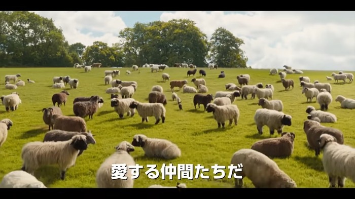 ＜🔍名(メェ～)探偵、誕生❕＞映画『ひつじ探偵団』 0-10 screenshot