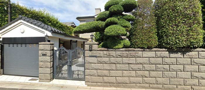 street-view (3)