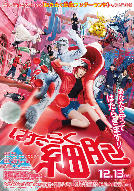 SnapCrab_NoName_2024-12-8_21-35-28_No-00