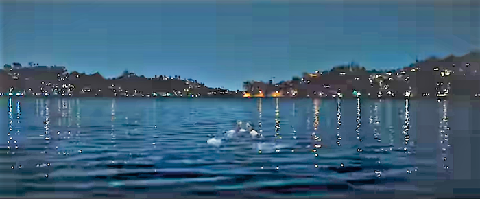 M FUNNoName_2019-1-12_12-8-47_No-00