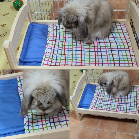 IKEAでベッドを買いました🐰