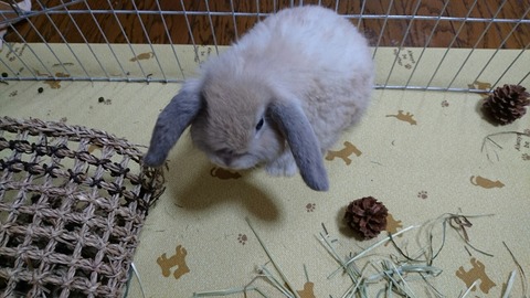 引っ越ししました♥
