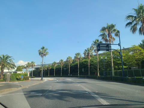 2020.6.29舞浜にいってきました♥️