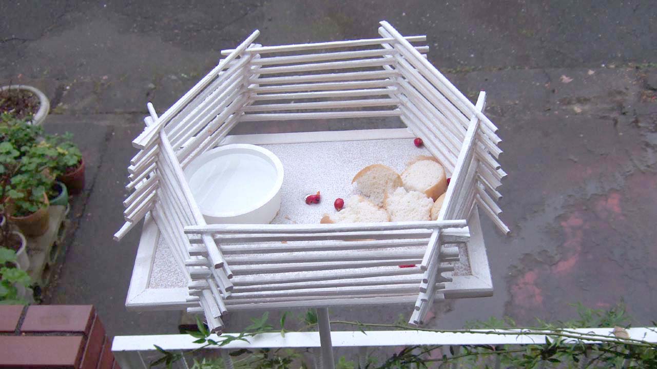 バードサンクチュアリ その１ 百目木写真館