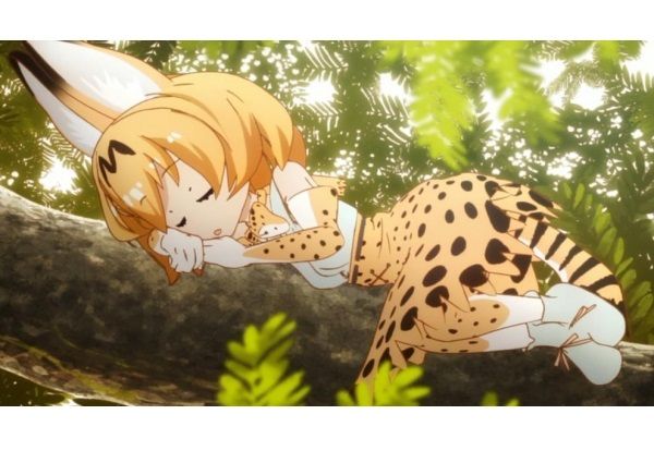 アニメ けものフレンズ キャラの実物写真を見たいフレンズ集合っ 中編 人生0手の読み アニメ けものフレンズ キャラの実物写真を見たいフレンズ集合っ 中編 人生0手の読み