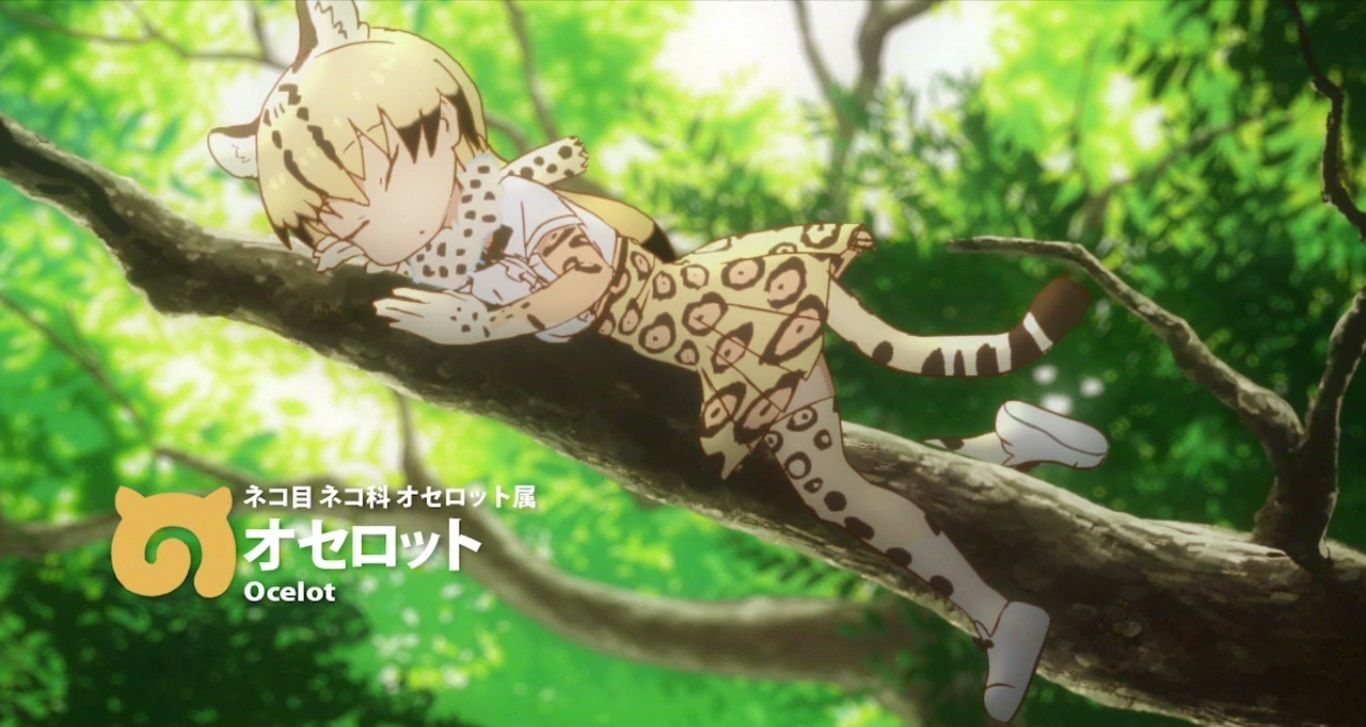 ｱﾆﾒ けものフレンズ キャラの実物写真を見たいフレンズ集合っ 前編 人生０手の読み
