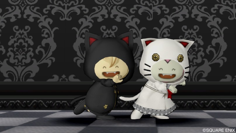 お試し！白猫・黒猫セット : ドラクエ10攻略ブログ 大魔王からは