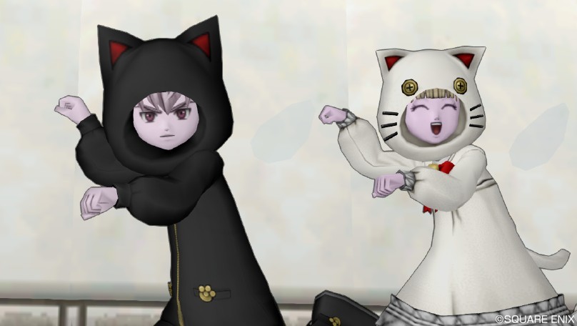 お試し！白猫・黒猫セット : ドラクエ10攻略ブログ 大魔王からは