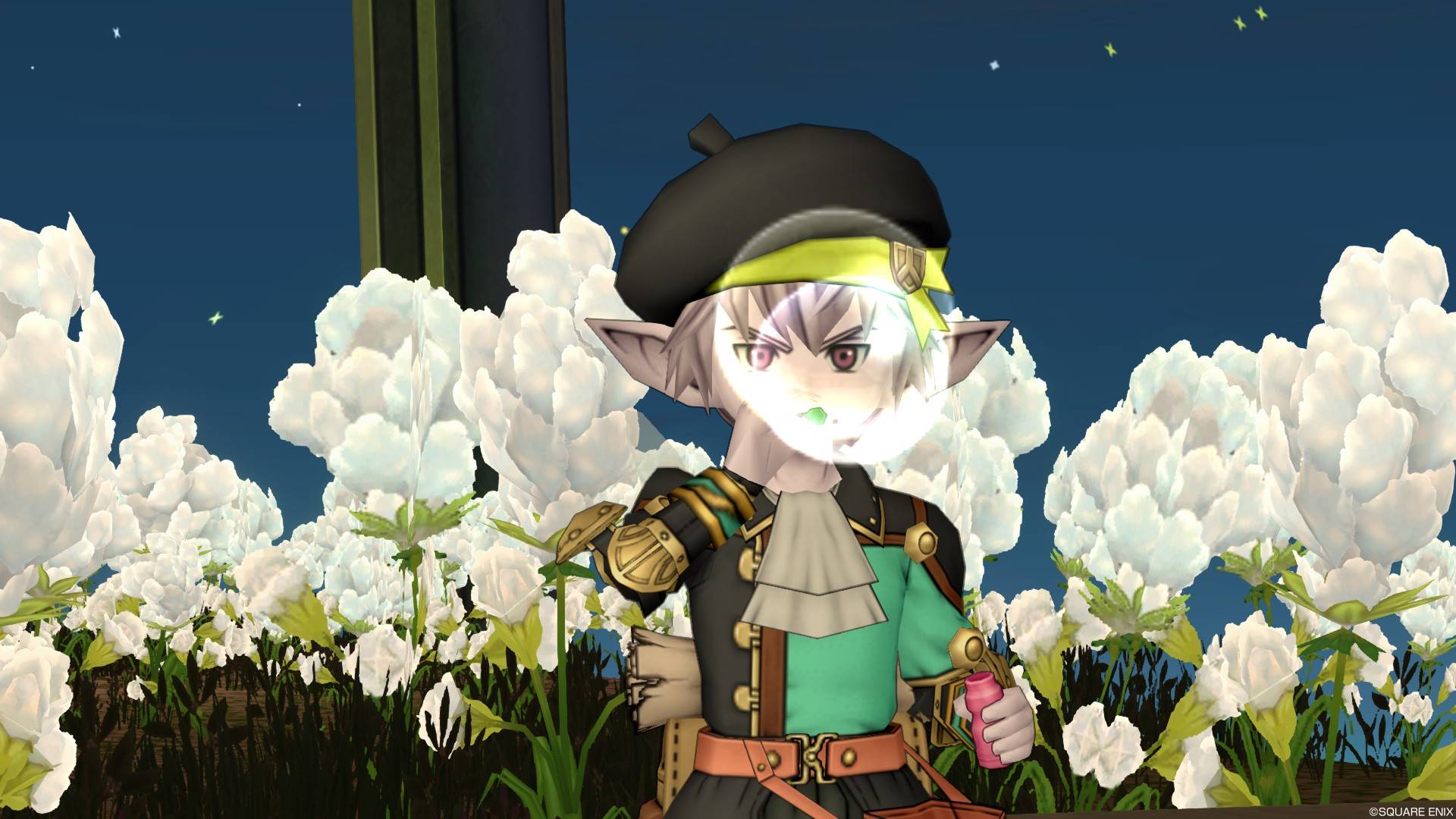 パドレア邸 ドラクエ10攻略ブログ 大魔王からは逃げられない