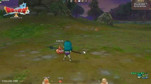 55555866