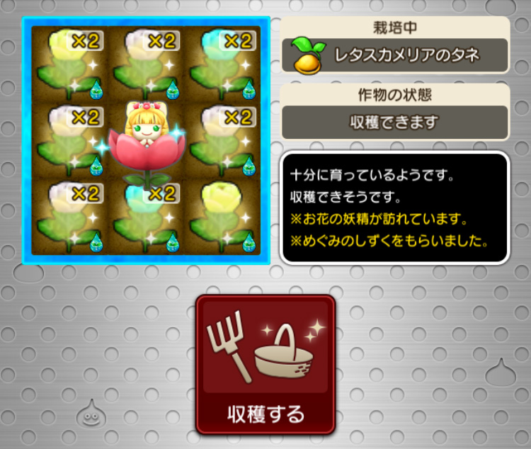 めぐみのしずくって効果あるの ドラクエ10攻略ブログ 大魔王からは逃げられない