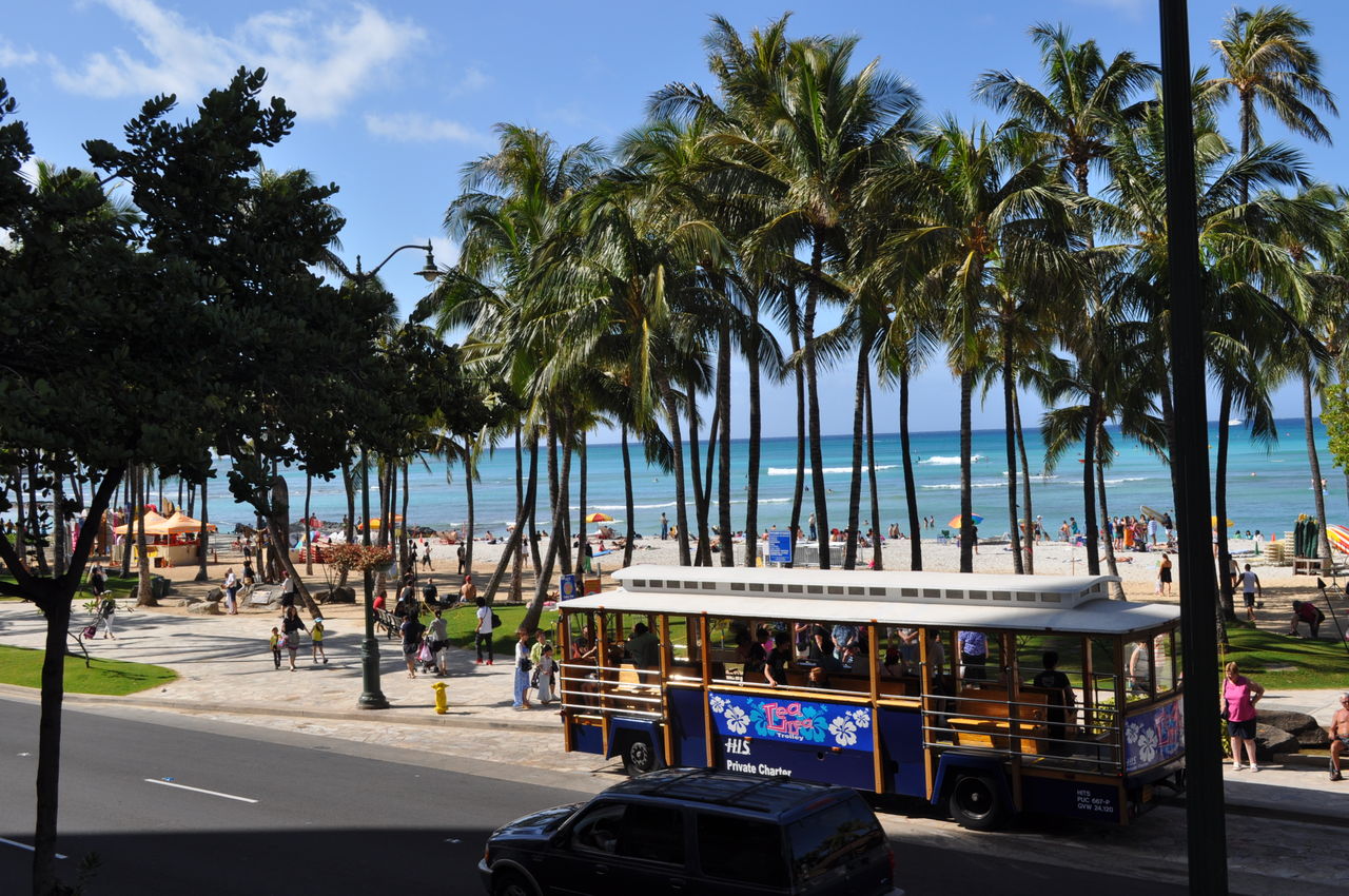 ハワイ遠征 実釣編 ナイトロックフィッシング