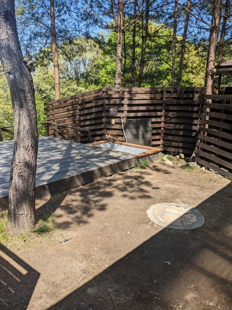 PXL_20230502_045554105