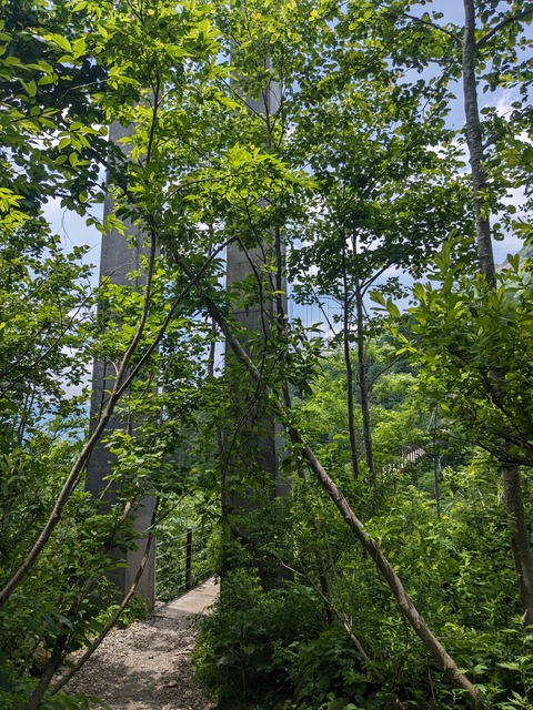 PXL_20230620_032157199