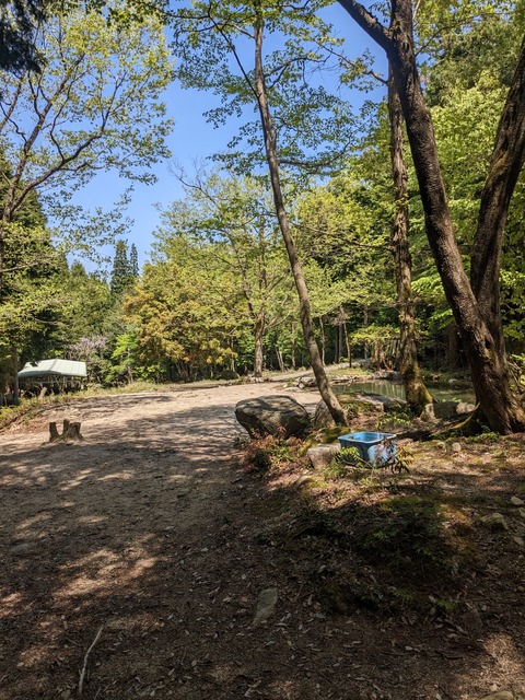 PXL_20230502_035952607