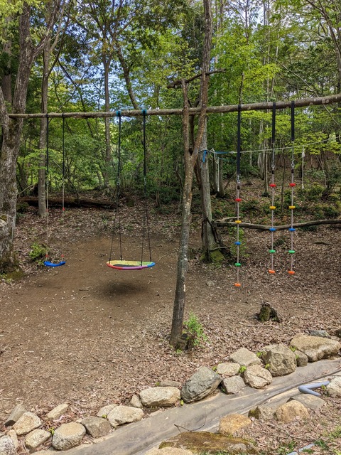 PXL_20230501_050229654