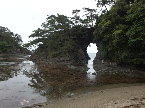 P4303506