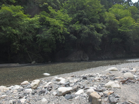 P5273517