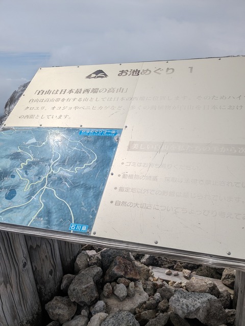 PXL_20230620_002822768