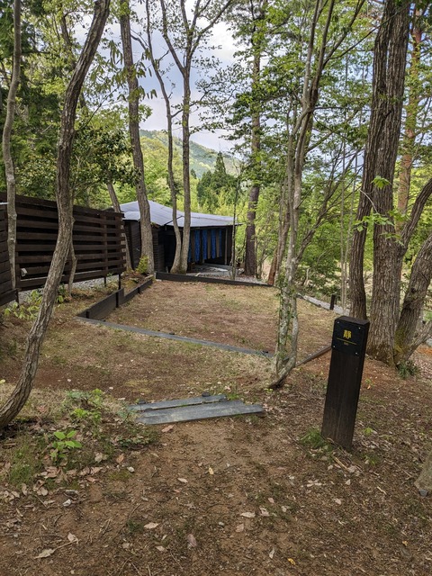 PXL_20230501_050115481-1