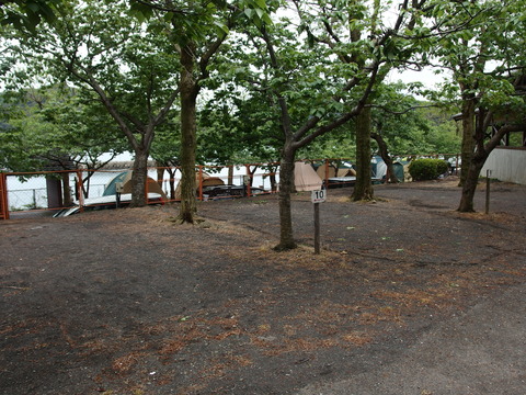 P4303499