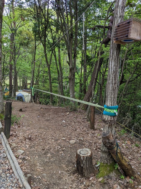 PXL_20230501_055741553