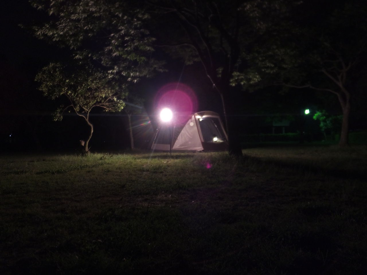 グリーンパーク山東で夜着キャンプ 蛍鑑賞 元インドア家族の とりあえず外でてみよっか